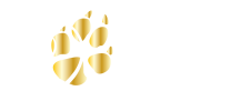 Cap-horse